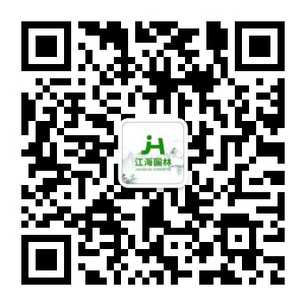 微信咨詢(xún)